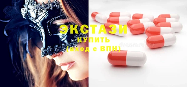 индика Лабытнанги