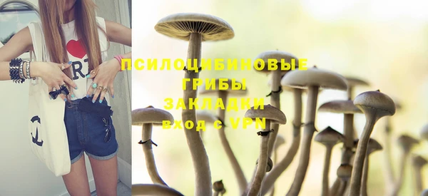 стафф Куйбышев