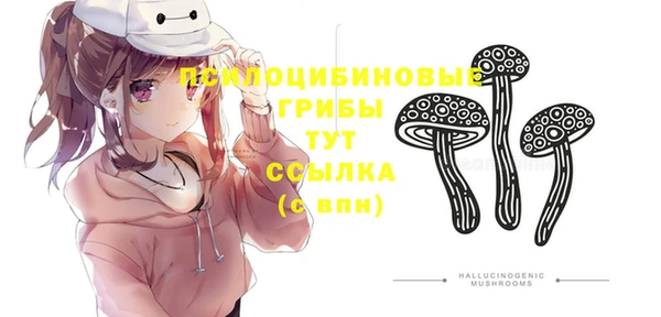 ГАЛЛЮЦИНОГЕННЫЕ ГРИБЫ Лагань