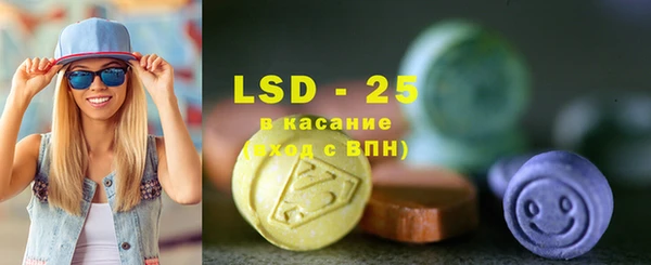 индика Лабытнанги