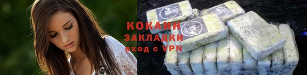 ГАЛЛЮЦИНОГЕННЫЕ ГРИБЫ Лагань