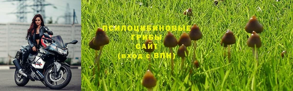 COCAINE Ладушкин