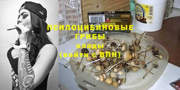 ГАЛЛЮЦИНОГЕННЫЕ ГРИБЫ Лагань
