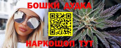 амф Гусев