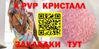 амф Гусев
