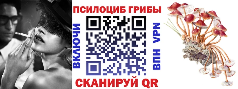 Псилоцибиновые грибы Psilocybe  Ессентуки 