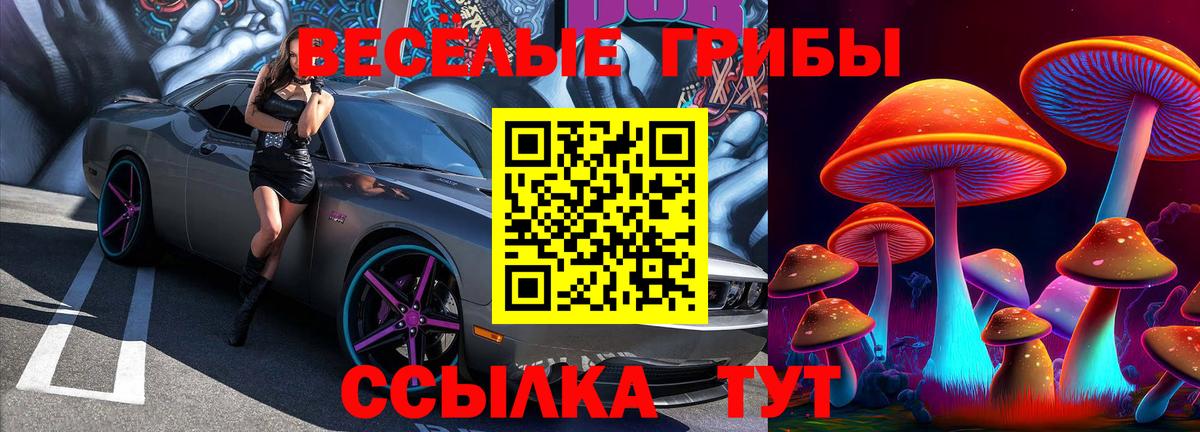 Псилоцибиновые грибы Magic Shrooms  Псилоцибиновые грибы Magic Shrooms  Вход с VPN  Ессентуки 