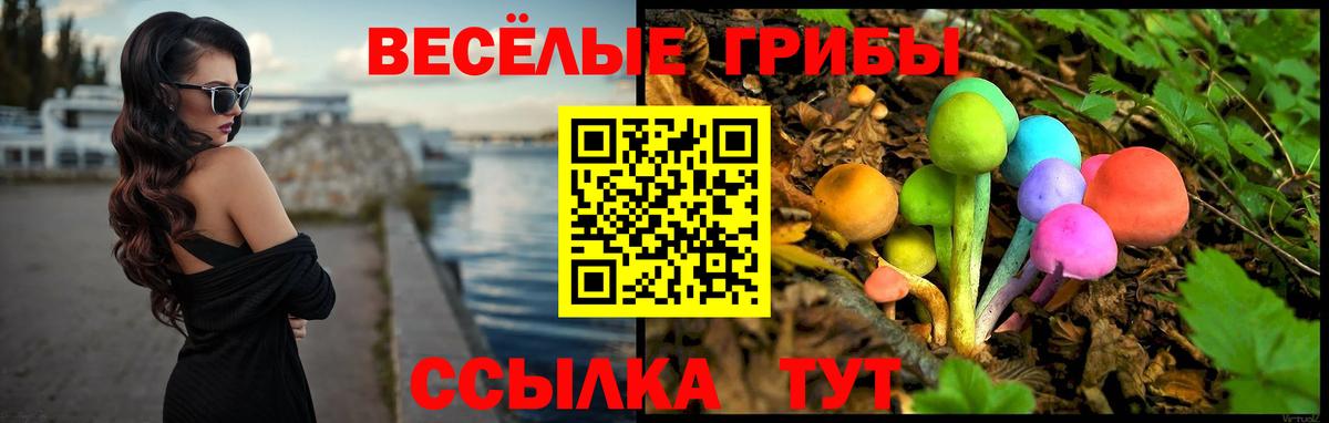 Галлюциногенные грибы GOLDEN TEACHER  Ессентуки 